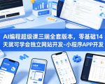 AI编程超级课三端全套版本，零基础14天就可学会独立网站开发-小程序APP开发