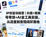 IP创富训练营｜抖音+视频号带货+AI全工具实操，从流量到变现闭环落地