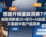 想提升销量缺洞察？销售洞察课20+技巧+AI加速，文案戳中客户超简单【原创双语字幕】